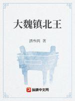 大魏镇北王