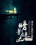 暗影追凶